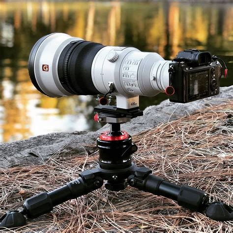 Great Setup For Wildlife Photography With Sony A9 400mm Gm 📸 Alex