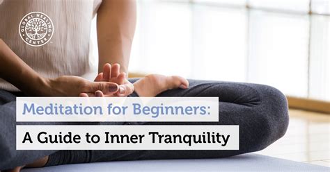 Meditation For Beginners A Guide To Inner Tranquility