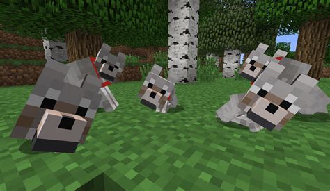 Minecraft Wolf Wallpapers Top Free Minecraft Wolf Backgrounds