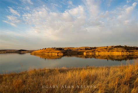 They are also pet friendly! Prairie and Wilson Lake | KS1487 | Gary Alan Nelson ...