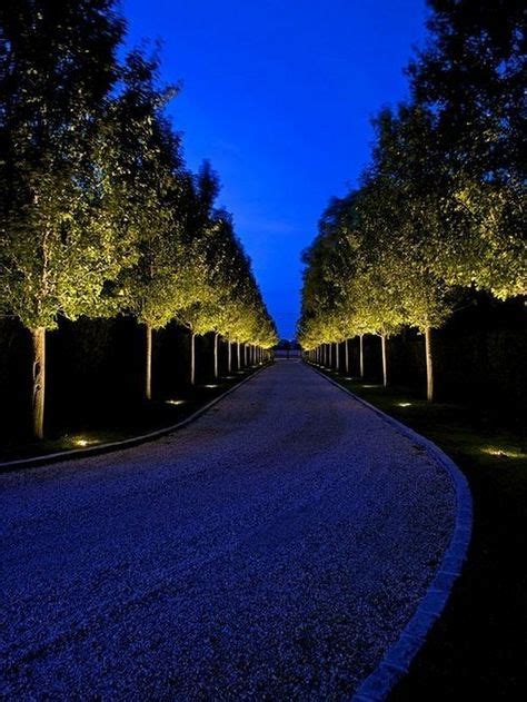 10 Tree Uplighting Ideas Landscape Lighting Design Landscape