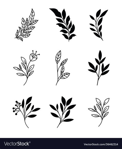 Aggregate More Than Minimalist Plant Tattoo In Coedo Com Vn