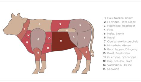 Warenkunde Rind Kalb Und Schweinefleisch Fokus Fleisch