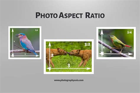 Aspect Ratio Which Is Best For Your Images Photographyaxis
