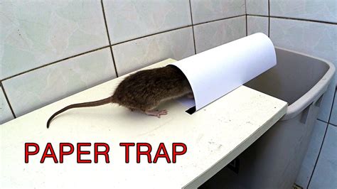 Paper Mouse Trap Rat Traps Homemade Mouse Traps Mouse Traps