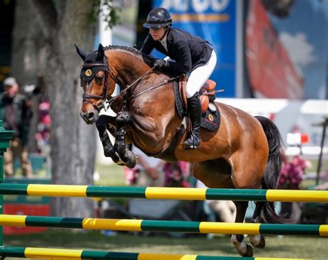 Canadas Show Jumping Team Expelled From Tokyo Olympics For Doping