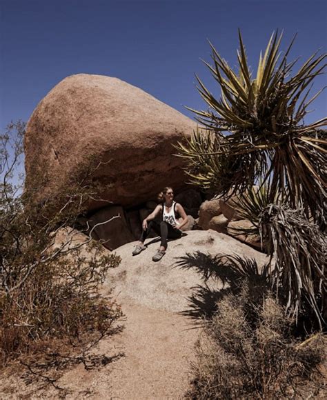 A Joshua Tree Photography Guide The Best Photo Spots In The Park