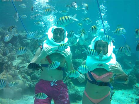 Sea Trek Curaçao Take Walk Underwater Curacao Activities