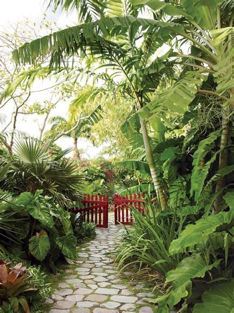 Jardines Tropicales Plantas Tropical Backyard Landscaping Tropical