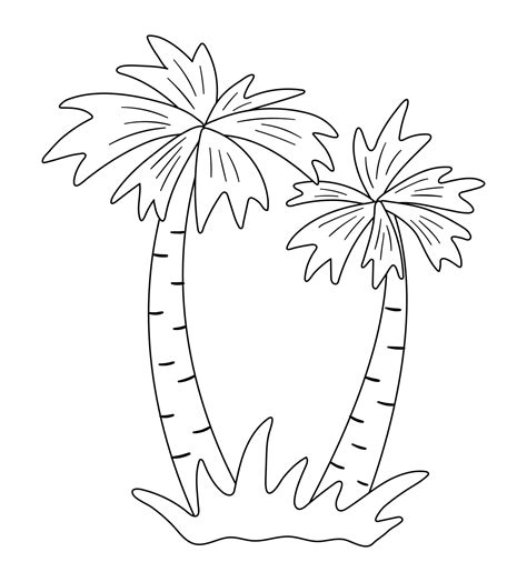 Vector Palm Tree Outline Funny Tropical Exotic Plant Black And White