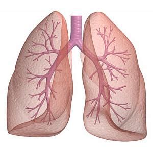 Evaluation in a randomized, doubleblind, multicenter trial. Ayurvedic treatment for Bronchial Asthma - AyurvedDoctor