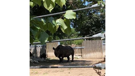 Petition · FREE THE ZOO ANIMALS · Change.org