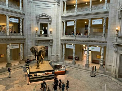 Smithsonians Natural History Museum Reopens Friday Wtop News