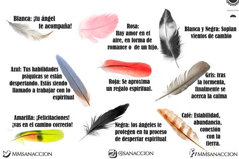 Guión Coreano Destino Qué Significan Los Colores De Las Plumas Póngase