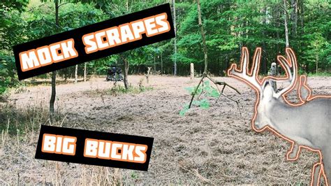 Mock Scrape Secrets For Big Bucks Hunting Deer Whitetail Youtube