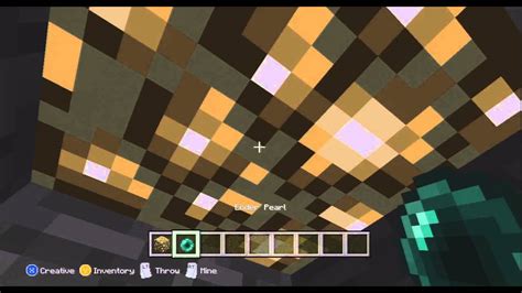 Minecraft Xbox 360 X Ray Vision Glitch Tutorial How To Find