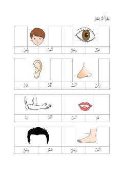Latihan Anggota Badan Dalam Bahasa Arab Lijahsrijackson Hot Sex Picture