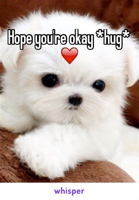 Hope Youre Okay Hug ️