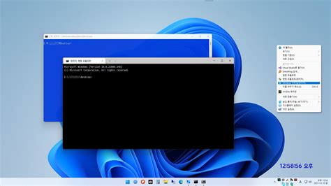 윈도우 포럼 스크린 샷 Cmd창 대신 Windows 터미널 사용