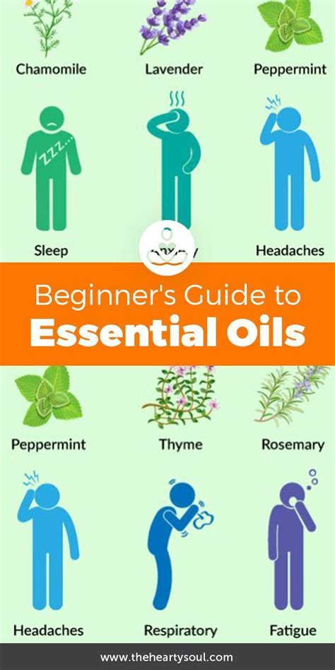 Essential Oils Guide Essential Oils Aromatherapy Essential Oil Blends
