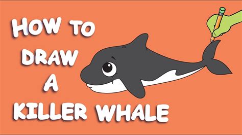 How To Draw A Killer Whale Youtube