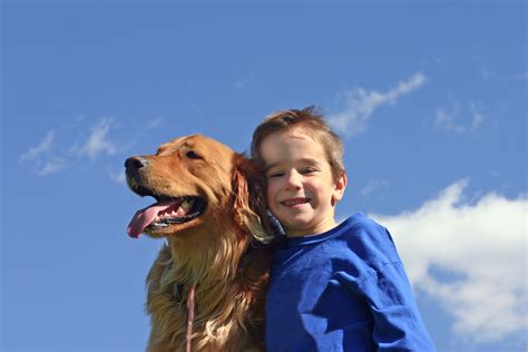 Dogs And Kids Dogslife Dog Breeds Magazine