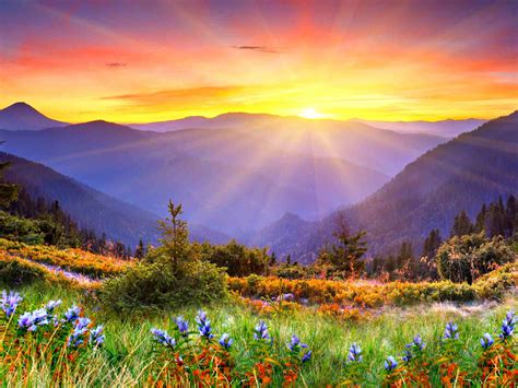 Awesome Sunset Sun Rays Forested Mountains Beautiful Mountain Flowers