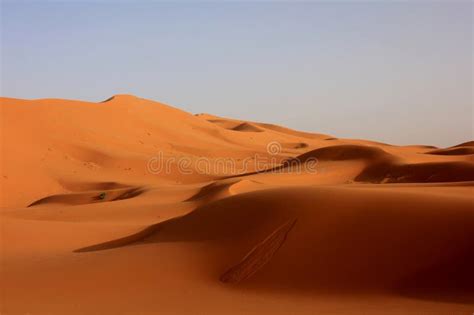 The Orange Sea Of Sand Called The Sahara Desert Stock Image Image Of