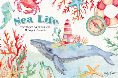 Sea Life Watercolor At Explore Collection Of Sea