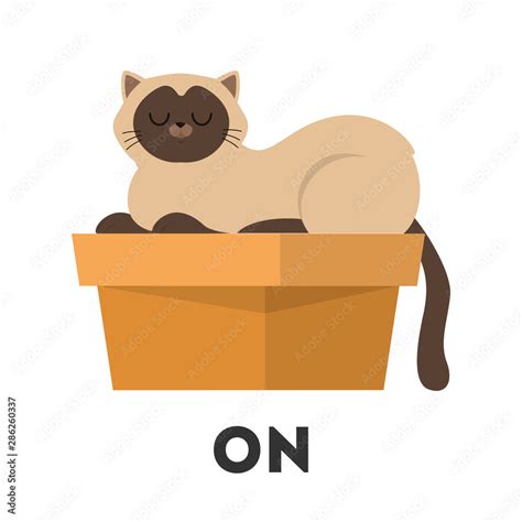 Cat And Box Learning Preposition Concept The Animal Stock Vector