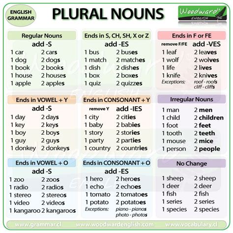 Regular And Irregular Plural Nouns In English Spelling Grammar