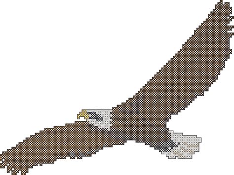Bald Eagle In Flight Nature Bird Counted Cross Stitch Pdf Etsy