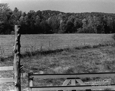 Virginia Field Photograph By Katherine W Morse Fine Art America