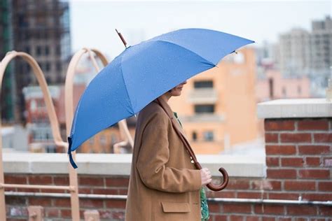 The Best Umbrella Reviews By Wirecutter