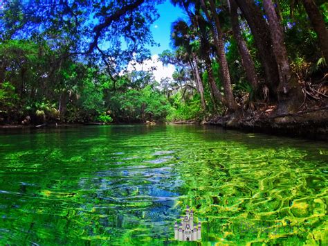 Blue Spring State Park Parque Natural En Florida