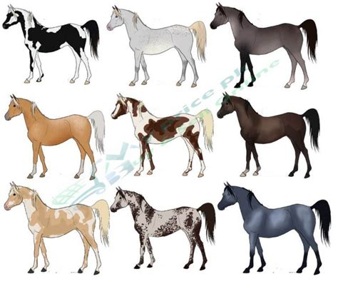 The Five Most Popular Horse Breeds In The World Today