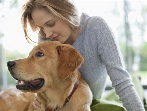 Top 10 Dog Breed Companions For Single Women