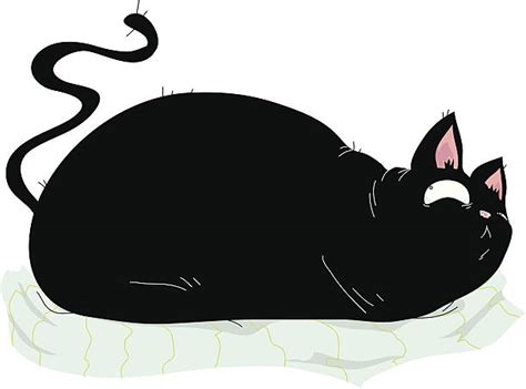 Lazy Fat Cat Illustrations Royalty Free Vector Graphics And Clip Art