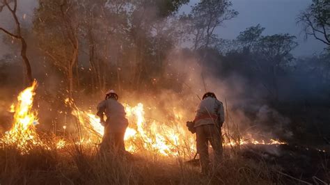 Find & download free graphic resources for fogo. Queda na temperatura diminui intensidade do fogo no Pantanal de MT - GazetaMT