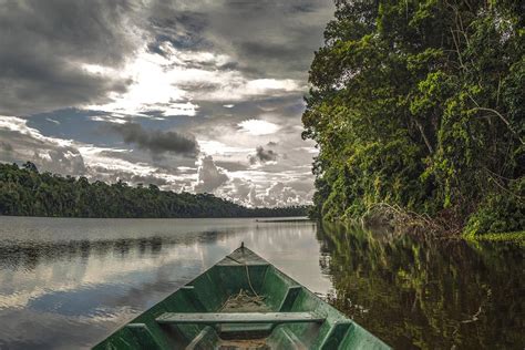 An Immersive Amazon Forest Ecotourism Destination
