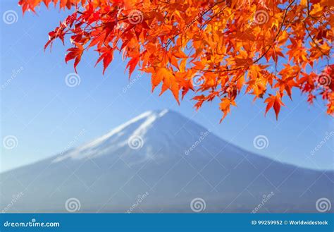 Mtfuji In Autumn On Sunrise At Lake Kawaguchiko Japan Mount Fuji