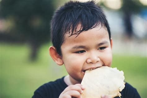 Free Photo | Little boy eating food fresh bread roll sandwich