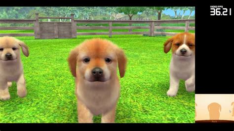 Nintendogs Cats Golden Retriever And New Friends Download Gamefabrique