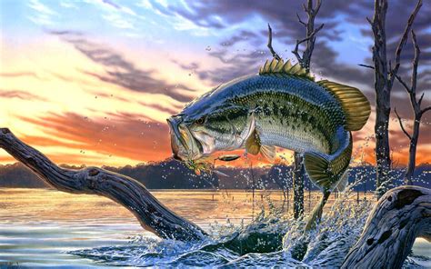 44 Cool Fishing Wallpapers Wallpapersafari