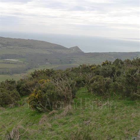 Grange Hill Viewpoint And Surrounding Area Steeple Dorset See