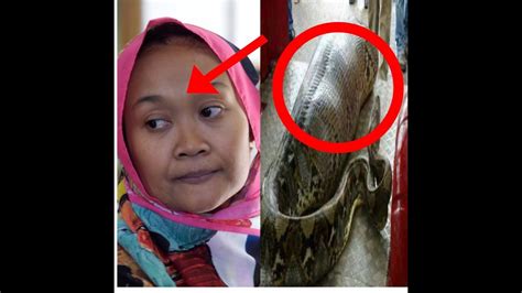 How A Giant Python Swallowed An Indonesian Woman Real Story YouTube