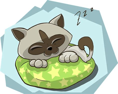 Cat Sleepg Cartoon Alexis Unlimited