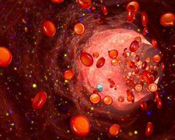Several factors increase the risk of sepsis, including: Новое устройство может диагностировать сепсис всего по ...