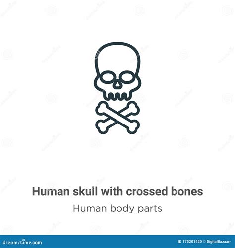 Human Skull With Crossed Bones Outline Vector Icon Thin Line Black