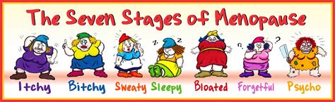 The Seven Stages Of Menopause Funny Novelty Sign Aging Humor Etsy Uk